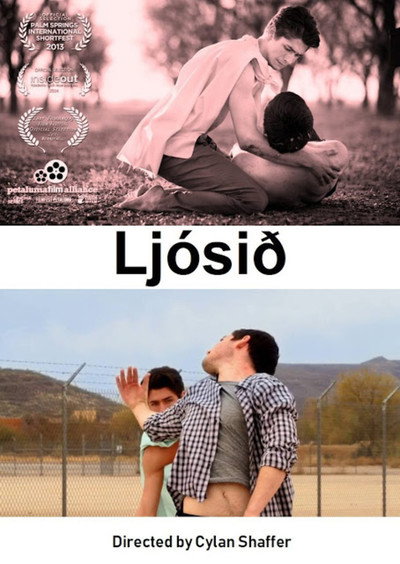 Póster de Ljósið