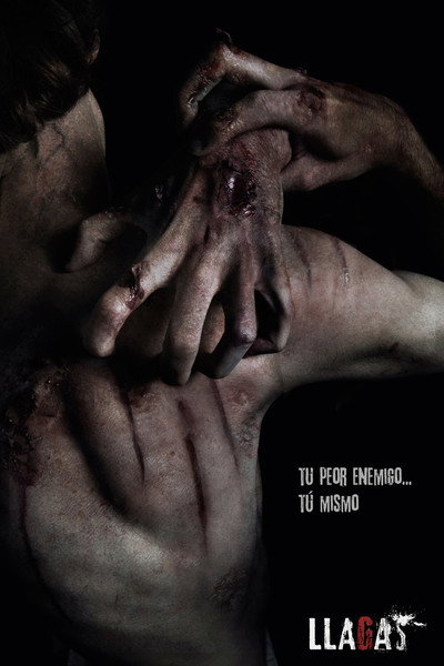 Póster de Llagas