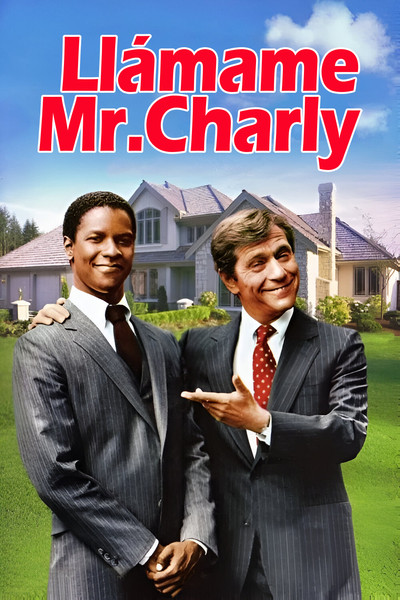 Póster de Llámame Mr. Charly
