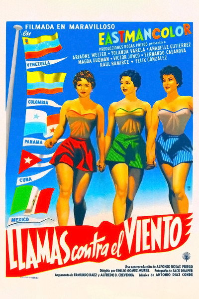 Póster de Llamas contra el viento