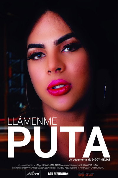 Póster de Llámenme Puta