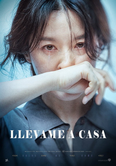 Póster de Llévame a casa