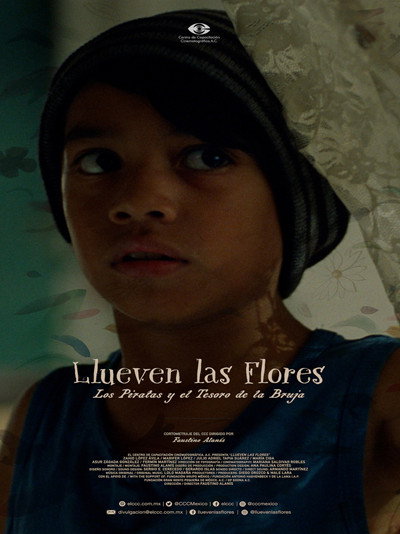 Póster de Llueven las Flores, los piratas y el tesoro de la bruja