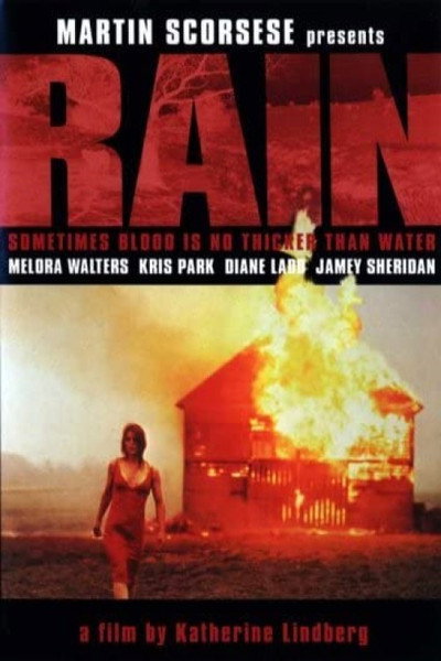 Póster de Lluvia