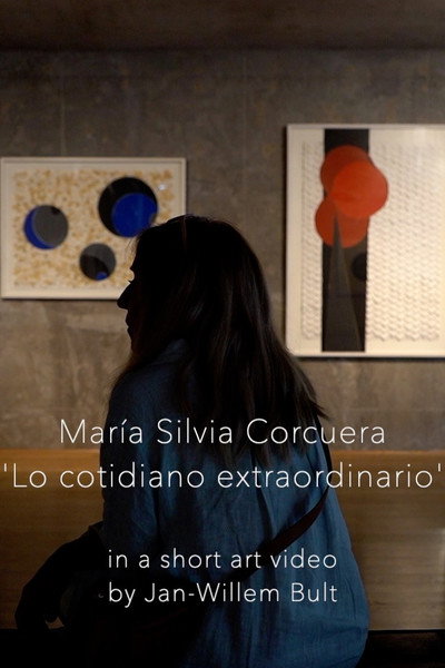 Póster de Lo cotidiano extraordinario