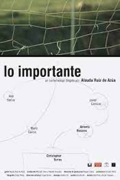 Póster de Lo importante