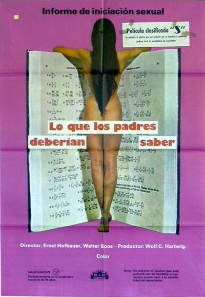 Póster de Lo que los padres deberían saber