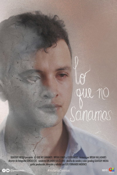 Póster de Lo Que No Sanamos