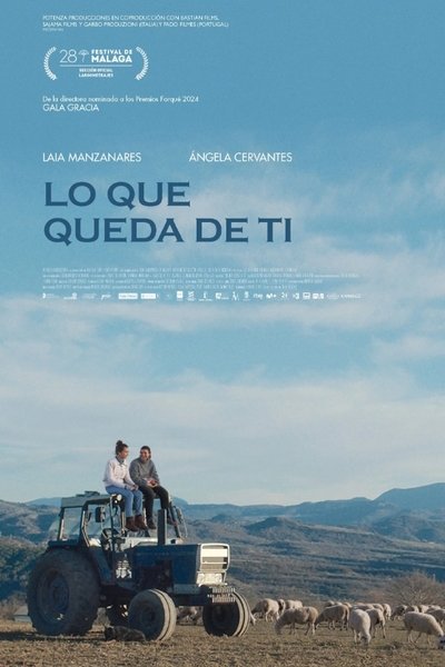 Póster de Lo que queda de ti