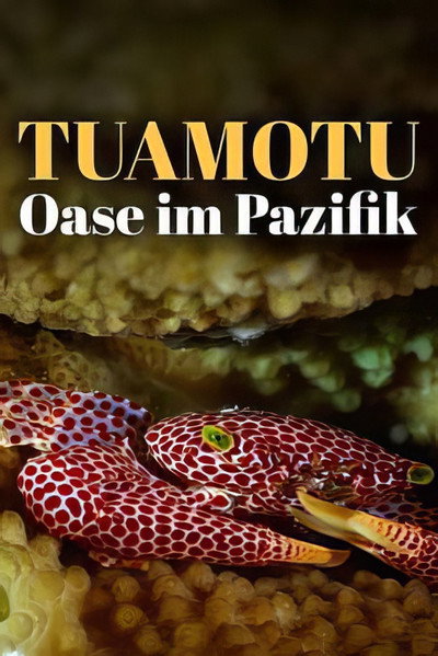 Póster de L'oasis de corail des Tuamotu
