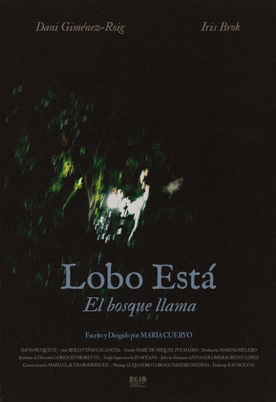 Póster de Lobo está