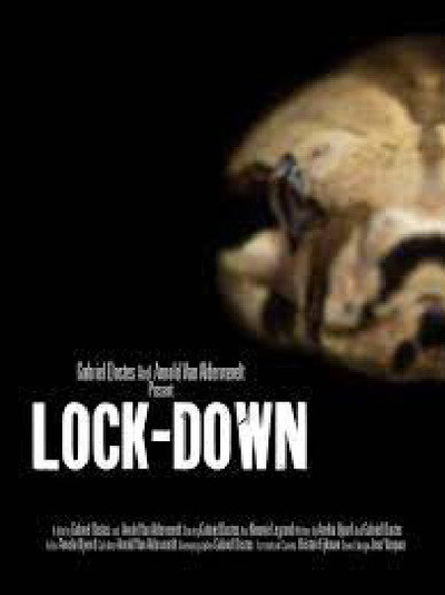 Póster de Lock-Down