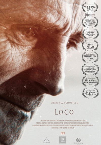Póster de Loco
