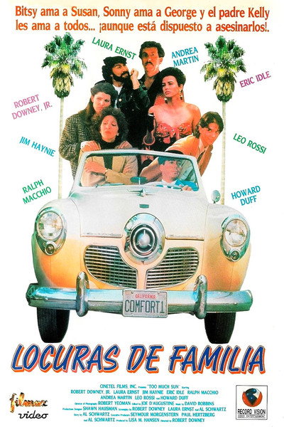 Póster de Locuras de familia