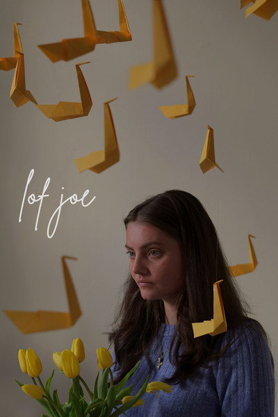Póster de Lof Joe