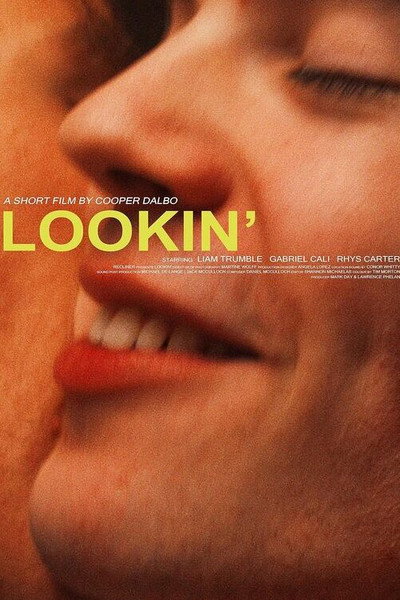 Póster de Lookin'
