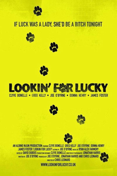 Póster de Lookin' for Lucky
