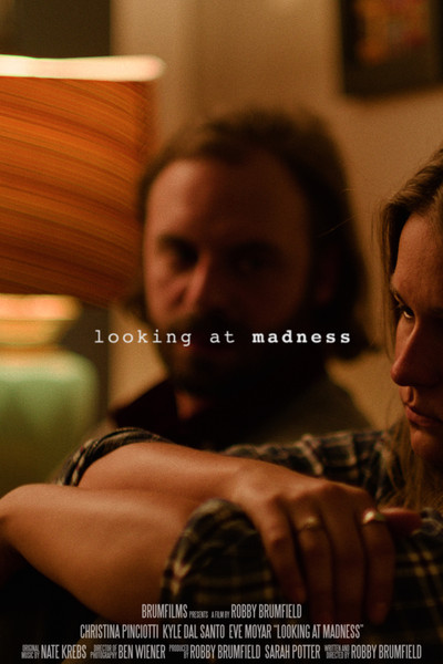 Póster de Looking at Madness