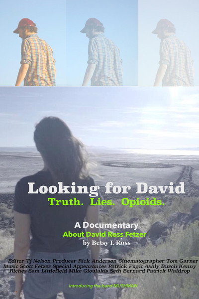 Póster de Looking for David