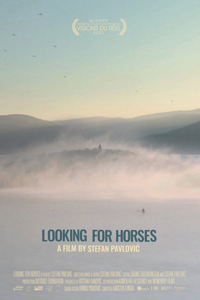 Póster de Looking for Horses