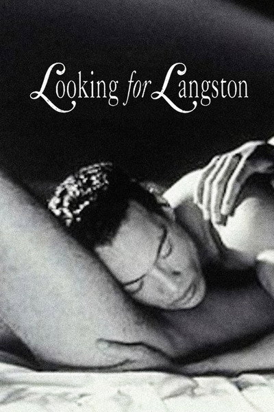 Póster de Looking for Langston