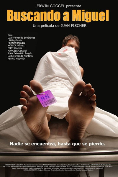 Póster de Looking for Miguel