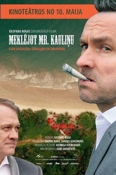 Póster de Looking for Mr. Dice