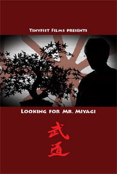Póster de Looking for Mr. Miyagi