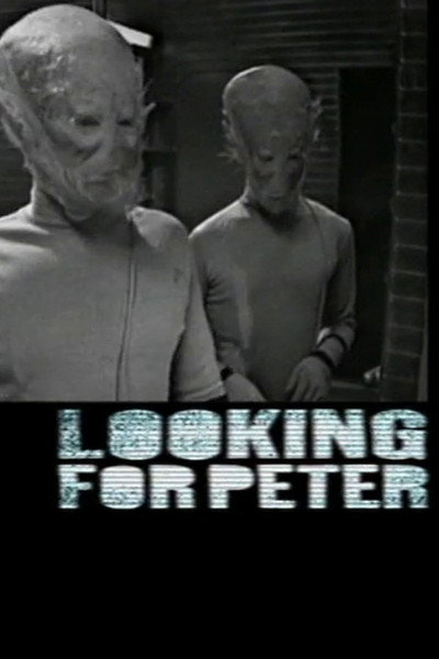Póster de Looking for Peter