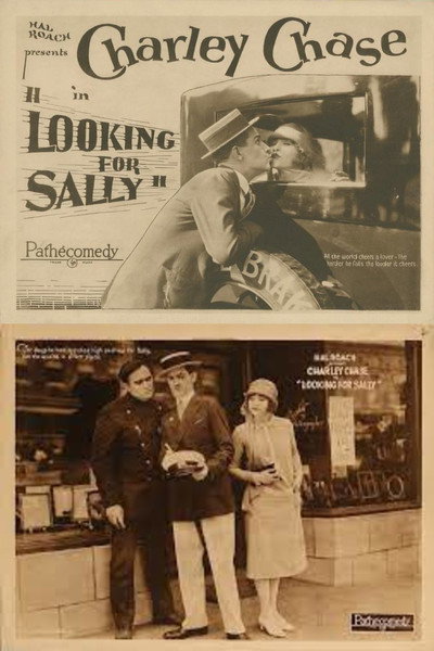 Póster de Looking for Sally