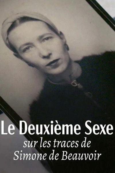 Póster de Looking for Simone