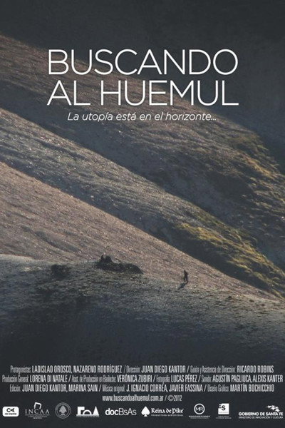 Póster de Looking for the Huemul