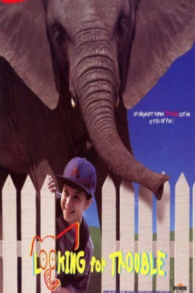 Póster de Looking for Trouble