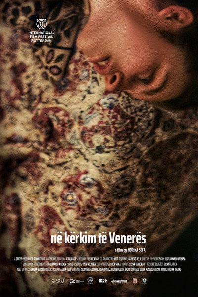 Póster de Looking for Venera