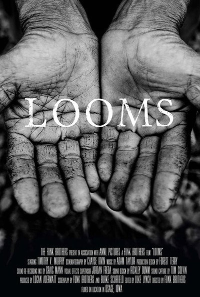 Póster de Looms