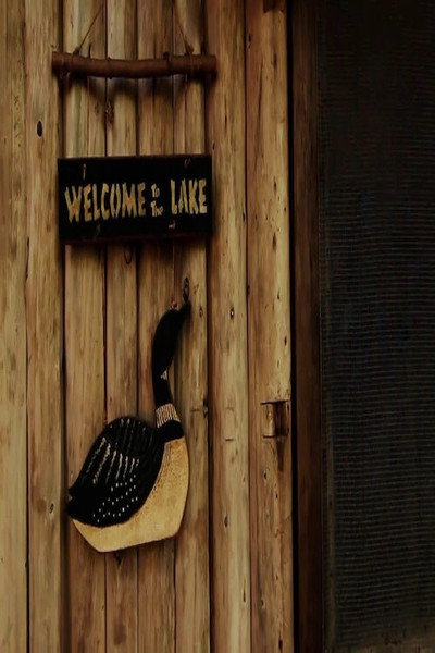 Póster de Loon Lake