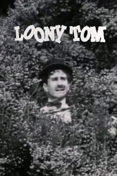 Póster de Loony Tom