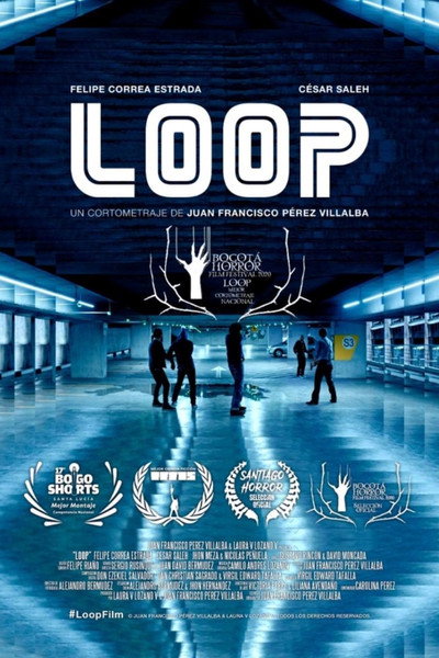 Póster de Loop