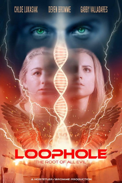 Póster de Loophole