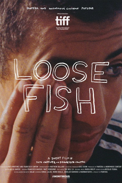 Póster de Loose Fish