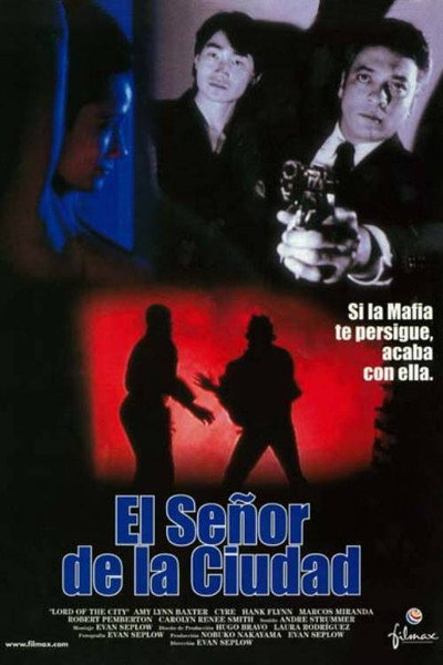 Póster de Lord of the City