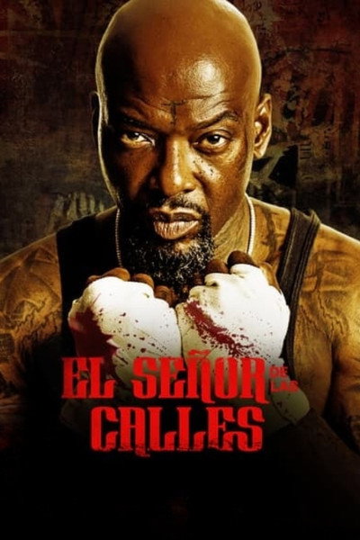 Póster de Lord of the Streets