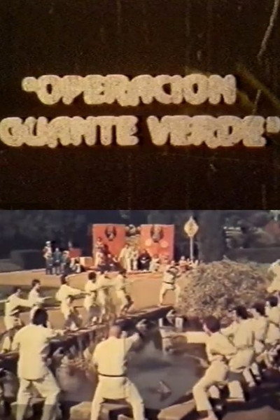 Póster de Los agentes secretos contra Guante Verde