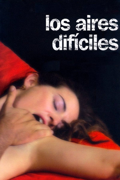 Póster de Los aires difíciles