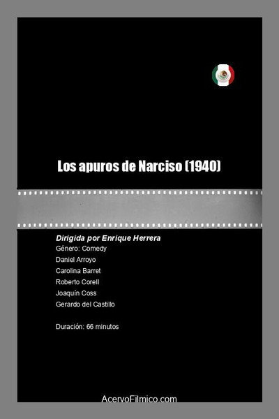 Póster de Los apuros de Narciso