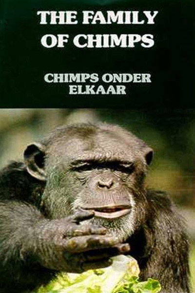 Póster de Los chimpancés entre ellos