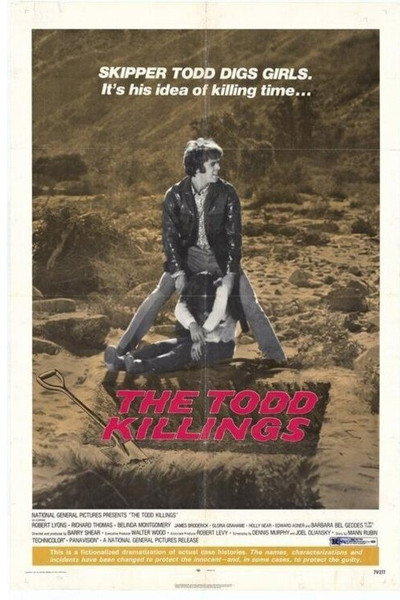 Póster de Los crímenes de Todd