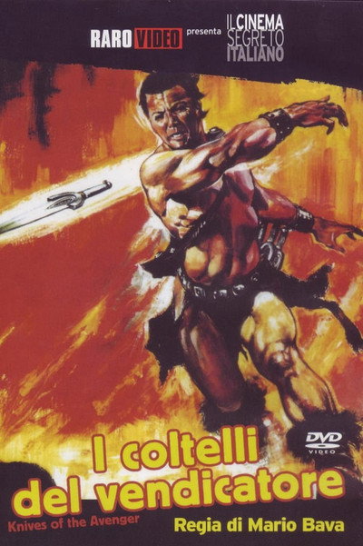 Póster de Los cuchillos del vengador