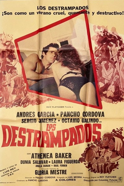 Póster de Los destrampados