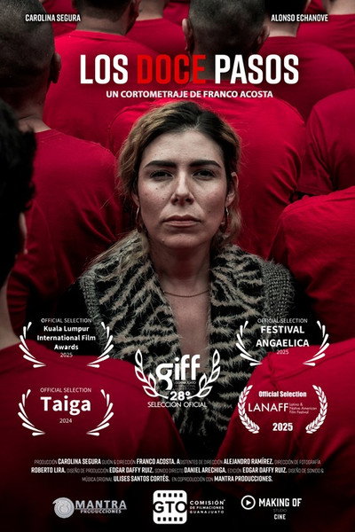 Póster de Los doce pasos